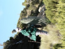 Mt Kenya - 2