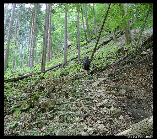 Na cestě pod Stadlwand