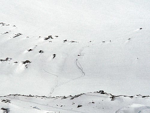 Bezvládné tělo zastřelené tibetské ženy poblíž ABC pod Cho Oyu nedaleko sedla Nangpa La