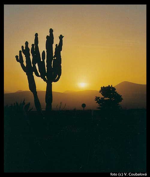 Lanzarote