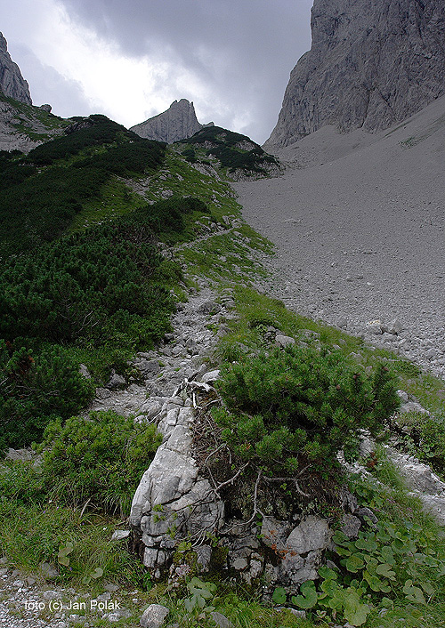 Cestou k chatě Fritz – Pflaum – Hütte