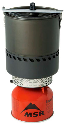 MSR Reactor