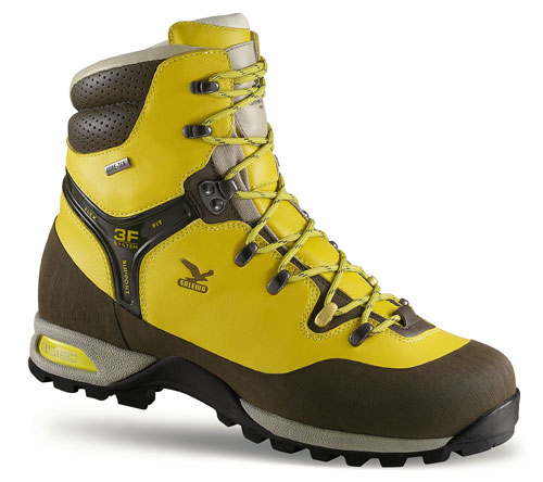 Salewa Eagle GTX Men