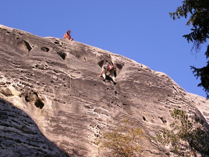 Petr Koreček
