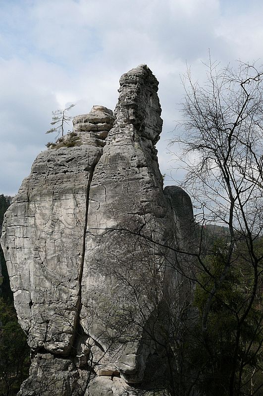 ? Petr Míšek