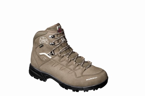 Mammut Shasta GTX