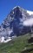 Eiger, Eiger severní stěna