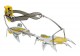 Salewa