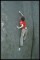 PADání 2009 - Adam Ondra, Vyhlídková stěna, Kleptománie 7A+