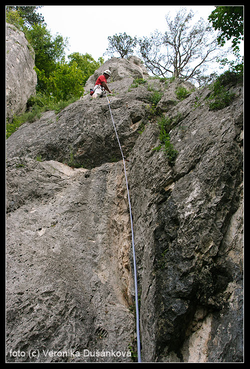 Rumpelstilzchen (VI)