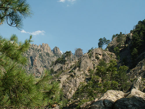 Restonica 