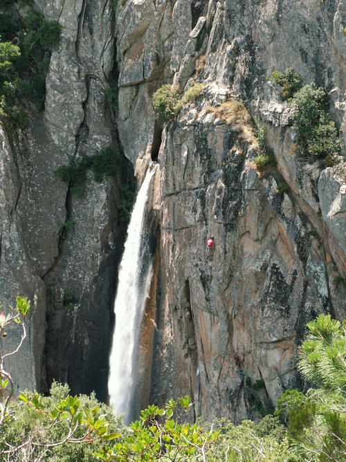 Piscia  di gallo, cesta Riviére d´argent 7a+