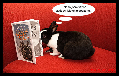 Šimon pečlivě a se zatajeným dechem pročítá informace, jak to tenkrát vlastně bylo ...