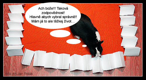 Vylosovat výherce je zodpovědná a náročná činnost