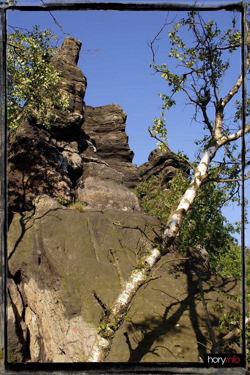 Děčínský Sněžník: Šipka označuje boulder