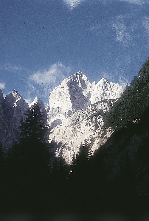 Jalovec v dolině Tamar (Planica). V čelní hraně vede Comiciho cesta