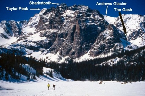 Shark´s Tooth