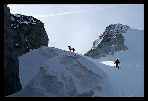 Skialpinista a pes