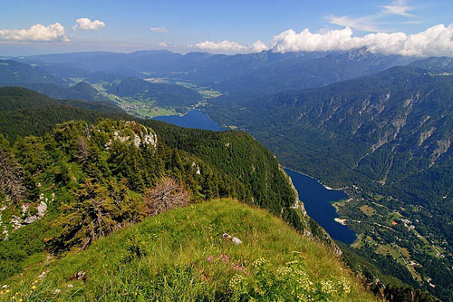 Bohinjské jezero