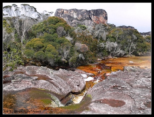 Ayuan Tepui Venezuela