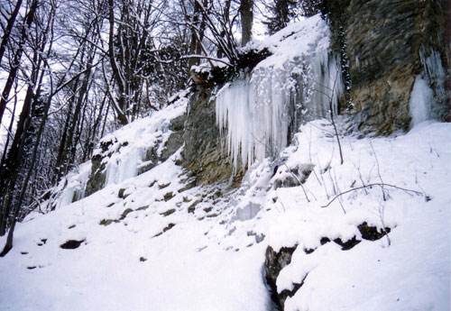Dolánky