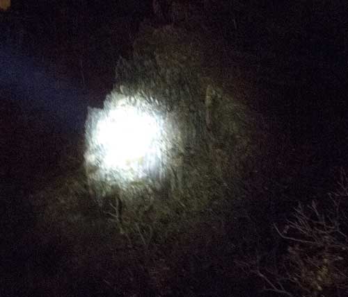 Úzký paprsek LED Lenser H14