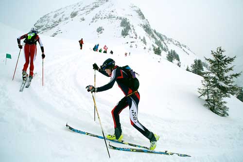 Dominik Sádlo