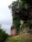 Falkenfels 1