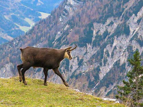 Tak takhle si vykračuju, za eura ti ukážu ještě další kousky. Né, opravdu mi nevadí, že si ode mne 5 metrů.