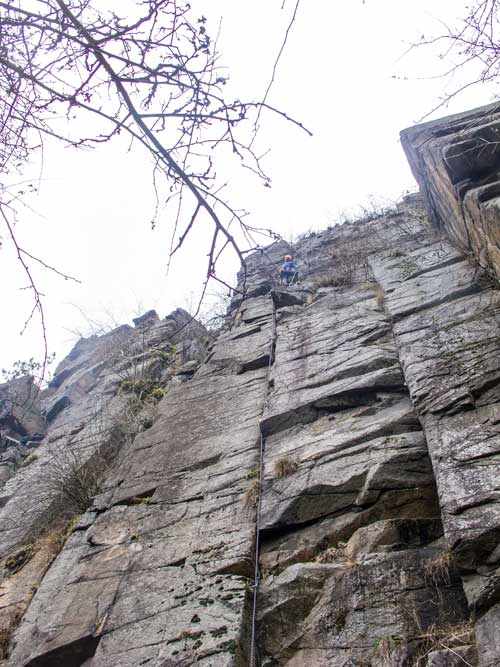 Pálená čtyřka