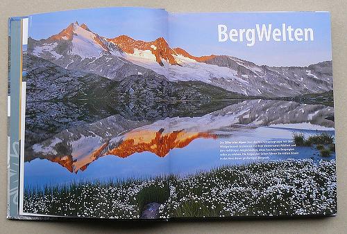 Berg 2015