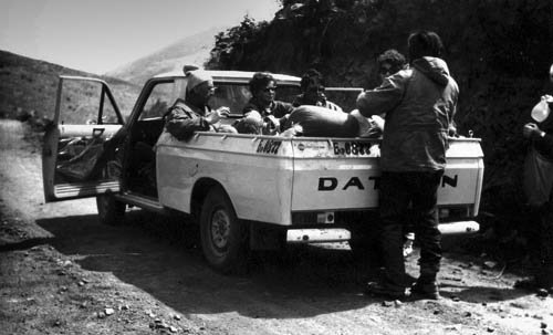 Peru 72, pickup