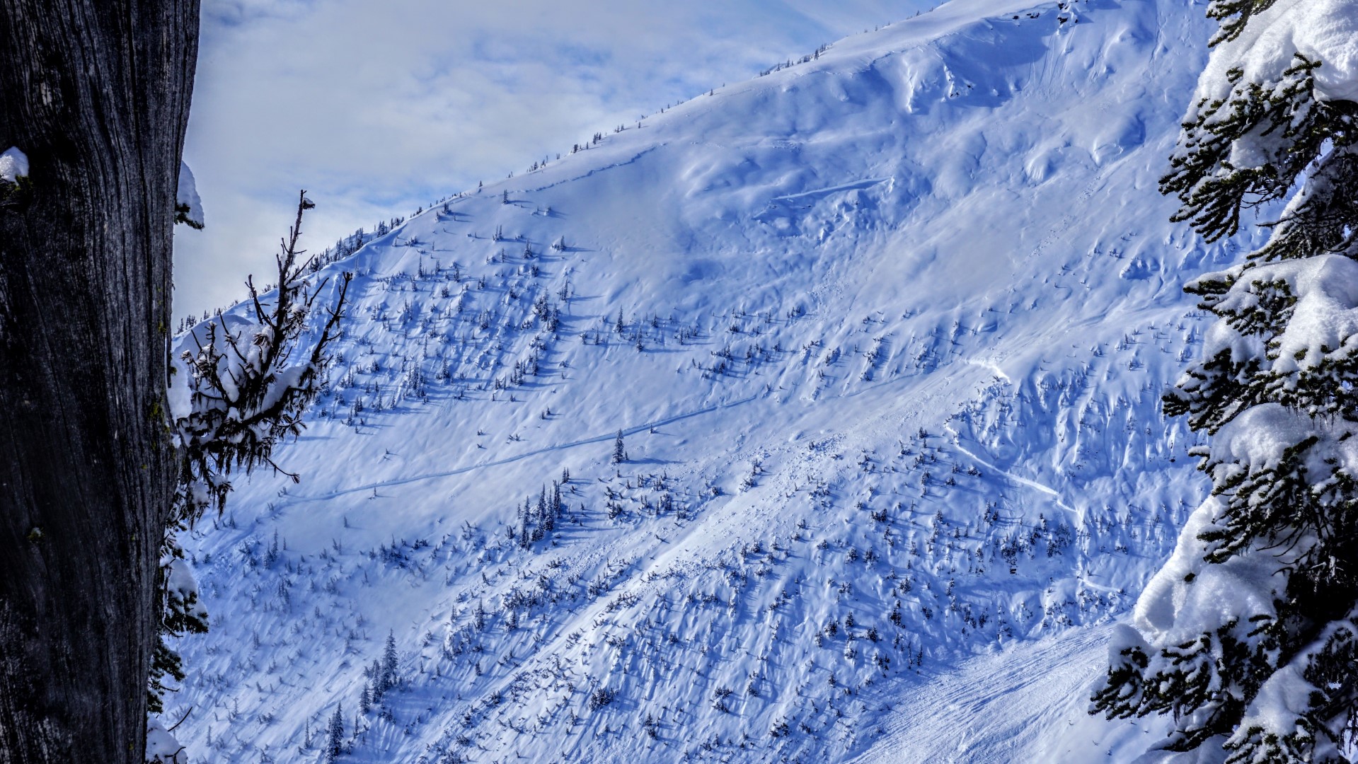 Lavina z Grizzly Mountain do Grizzly Bowl
