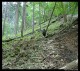 Na cestě pod Stadlwand