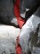 jednoduchy webbing