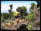 Christian Stangl při výstupu na Kilimanjaro