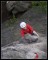Boulder kolem kruhu je na sedmičku výživný