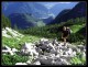 Cestou pod nástup. Pod námi je vidět pastviny Schönalmu a údolí Lammertal.
