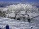 02_albach_08